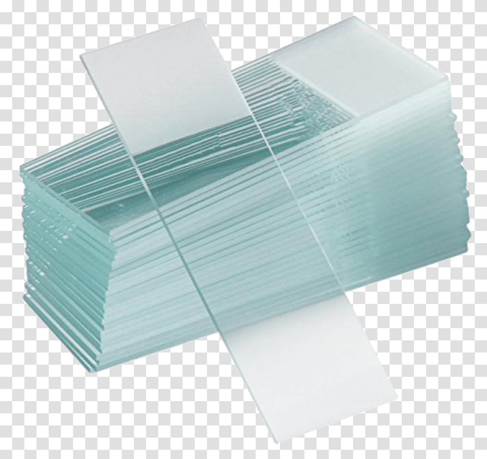 Ionplus Logo Glass Microscope Slides, Paper, Towel, Paper Towel, Tissue Transparent Png