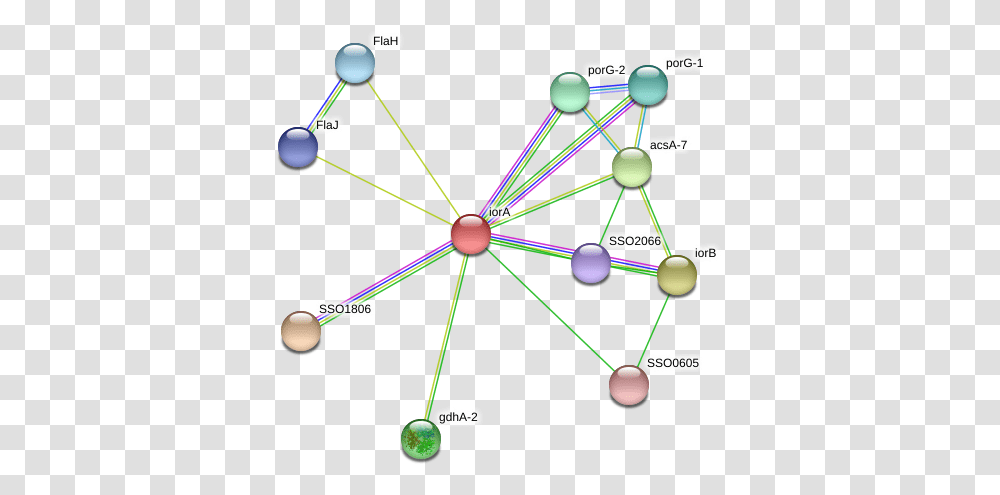 Iora Protein Circle, Network, Diagram Transparent Png