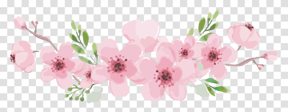 Ios Animated Flowers Cherry Blossom Gif, Plant, Petal, Hibiscus, Hair Slide Transparent Png