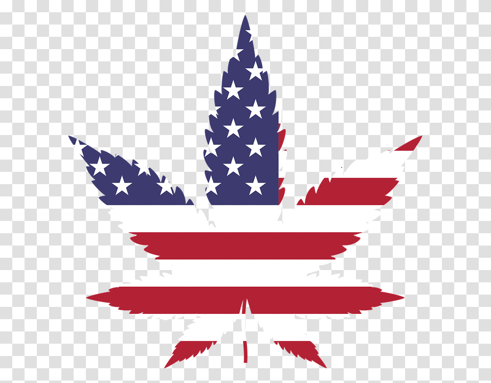 Iowa States Unconstitutional Attempt To Ban Marijuana Shirts Will, Leaf, Plant, Star Symbol Transparent Png