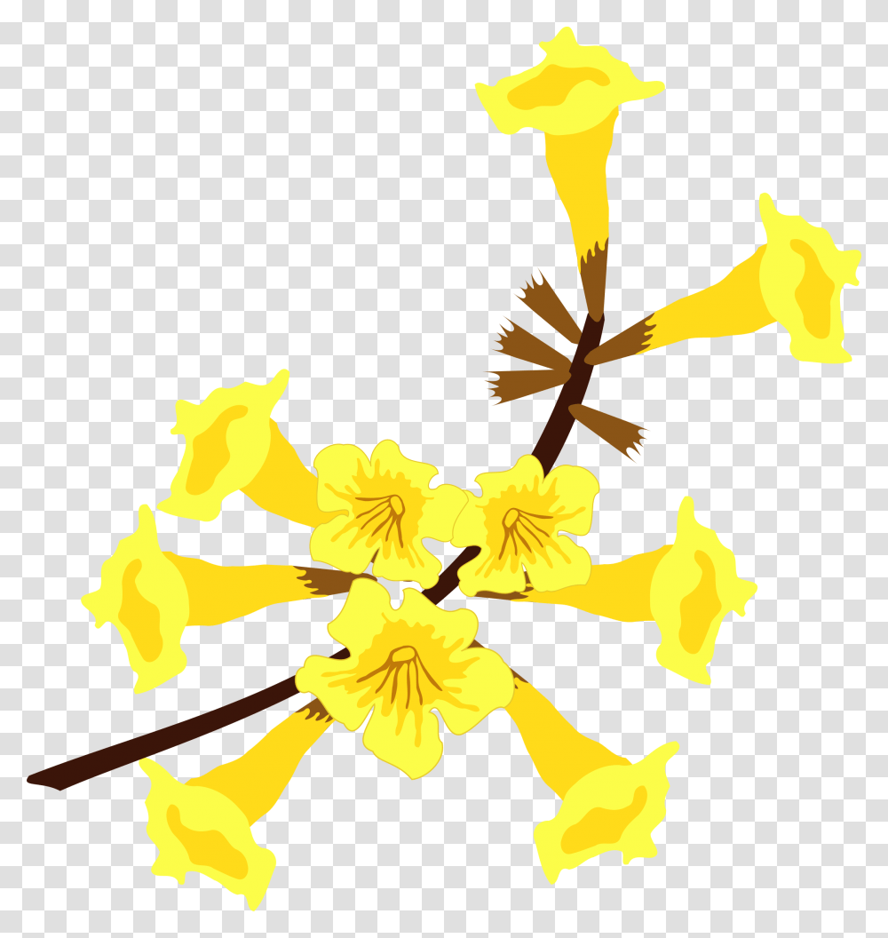 Ip Amarelo Flor Flor Do Ipe Amarelo, Plant, Flower, Blossom, Petal Transparent Png