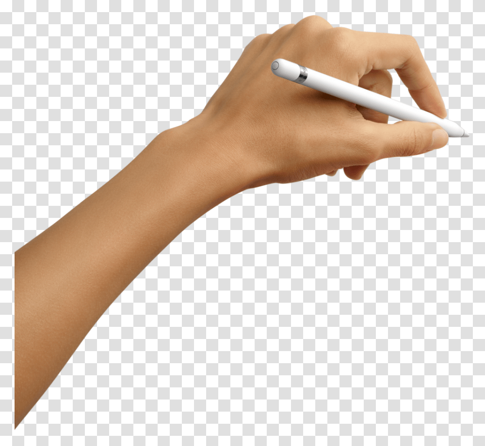 Ipad Apple Pencil Ipad Air Size 2019, Person, Human, Hand, Skin Transparent Png