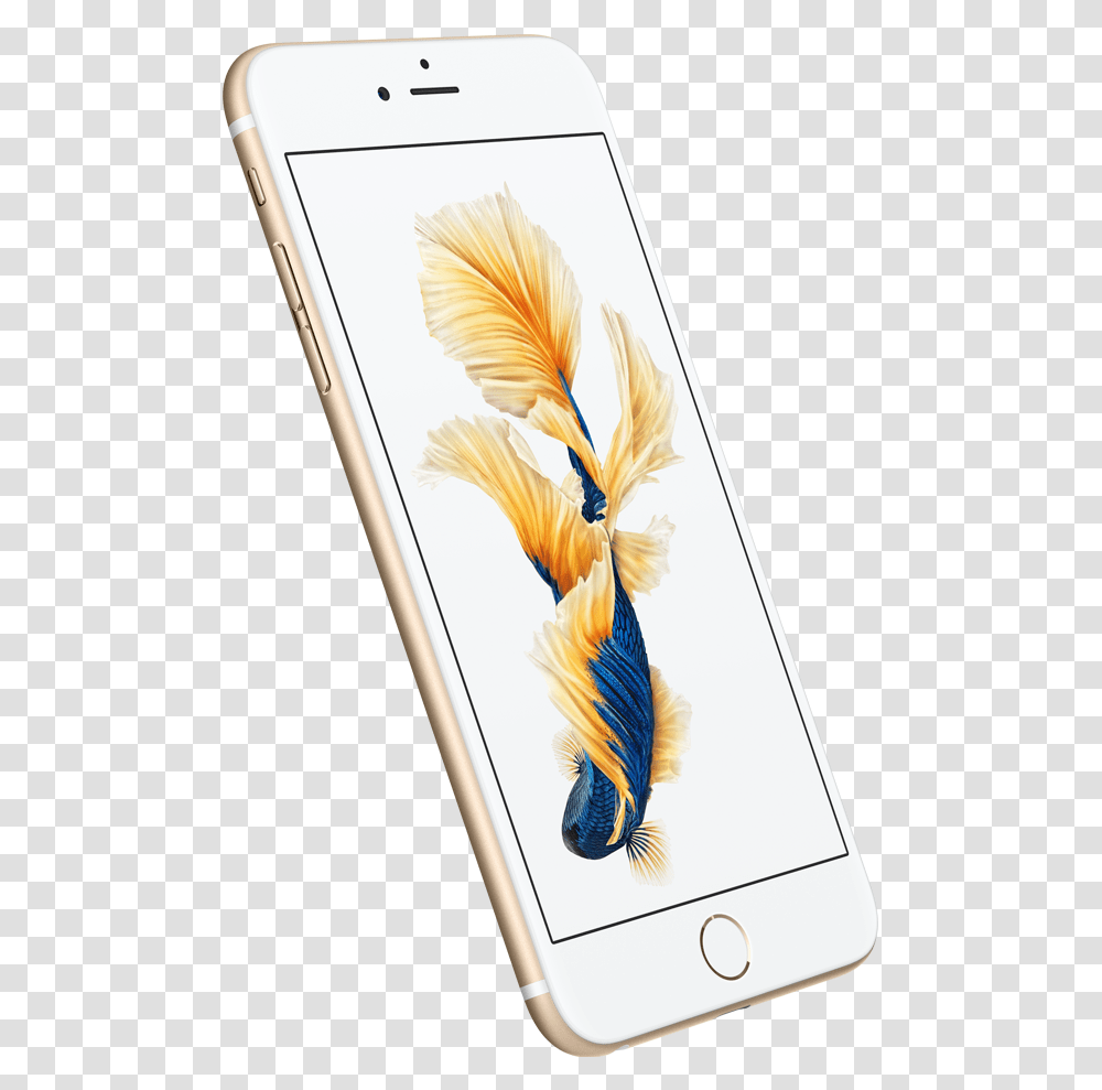 Iphone 6s Back Iphone 6plus 6 Plus Gold, Electronics, Mobile Phone, Cell Phone, Bird Transparent Png