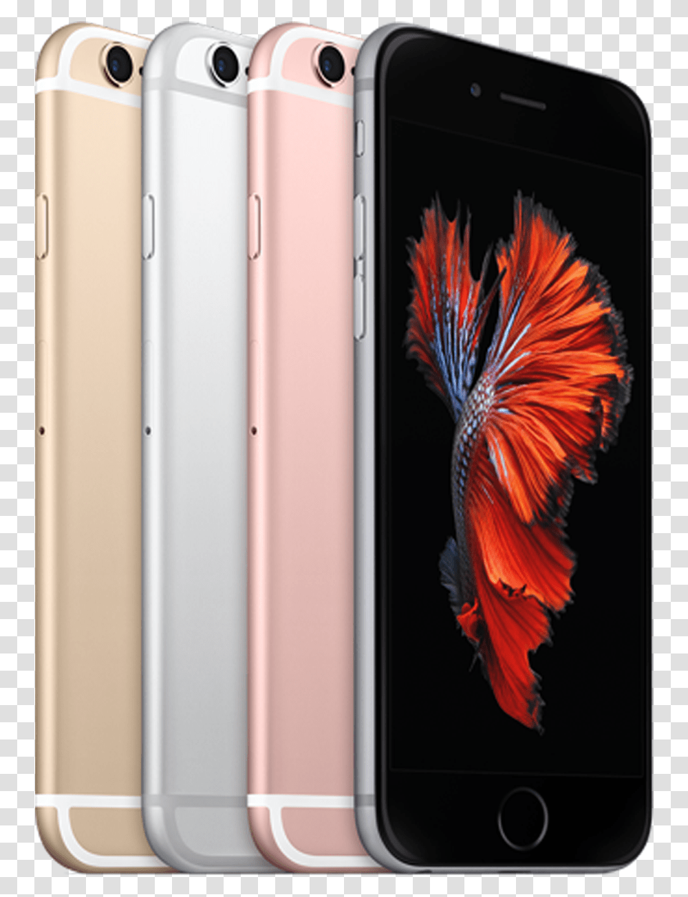 Iphone 6s Iphone 6s All Color, Mobile Phone, Electronics, Cell Phone, Bird Transparent Png