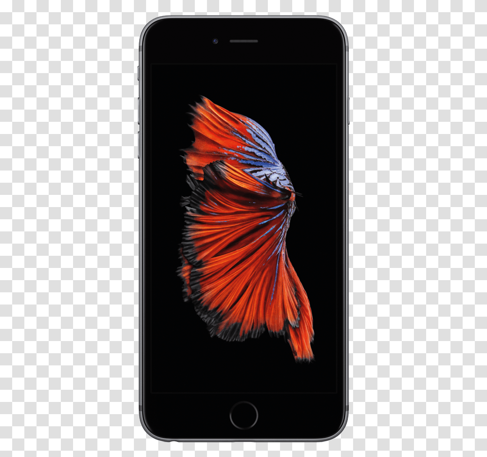 Iphone 6s Plus, Electronics, Mobile Phone, Cell Phone, Bird Transparent Png