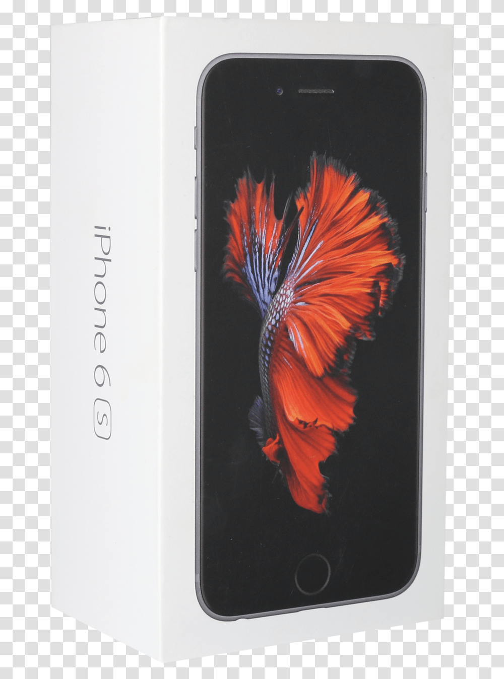 Iphone 6s Price In Lahore Hafeez Center, Mobile Phone, Electronics, Cell Phone, Bird Transparent Png