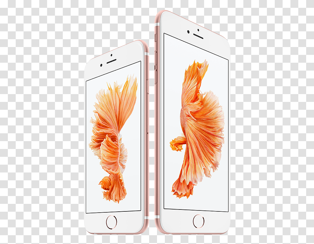 Iphone 6s Price In Malaysia Apple Store, Mobile Phone, Electronics, Cell Phone, Bird Transparent Png