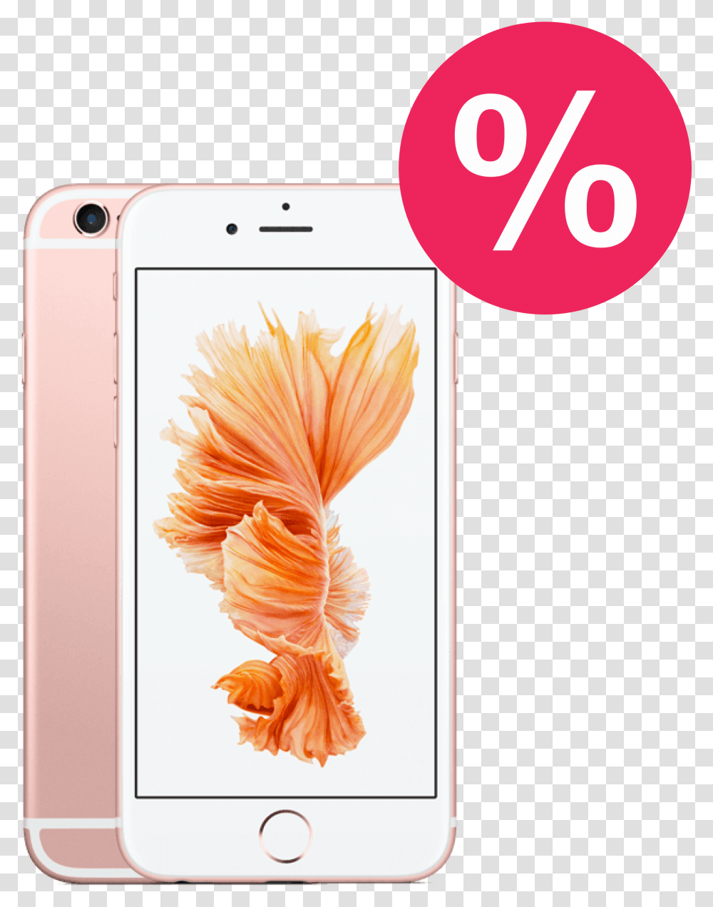 Iphone 6s Rose Gold Iphone 6s Plus Price In Sri Lanka, Mobile Phone, Electronics, Cell Phone Transparent Png