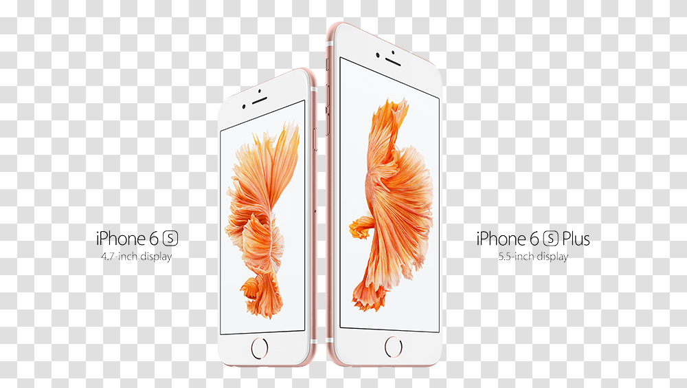 Iphone 6s Rose Gold Iphone 6s Price In Malaysia Apple Store, Mobile Phone, Electronics, Cell Phone, Bird Transparent Png