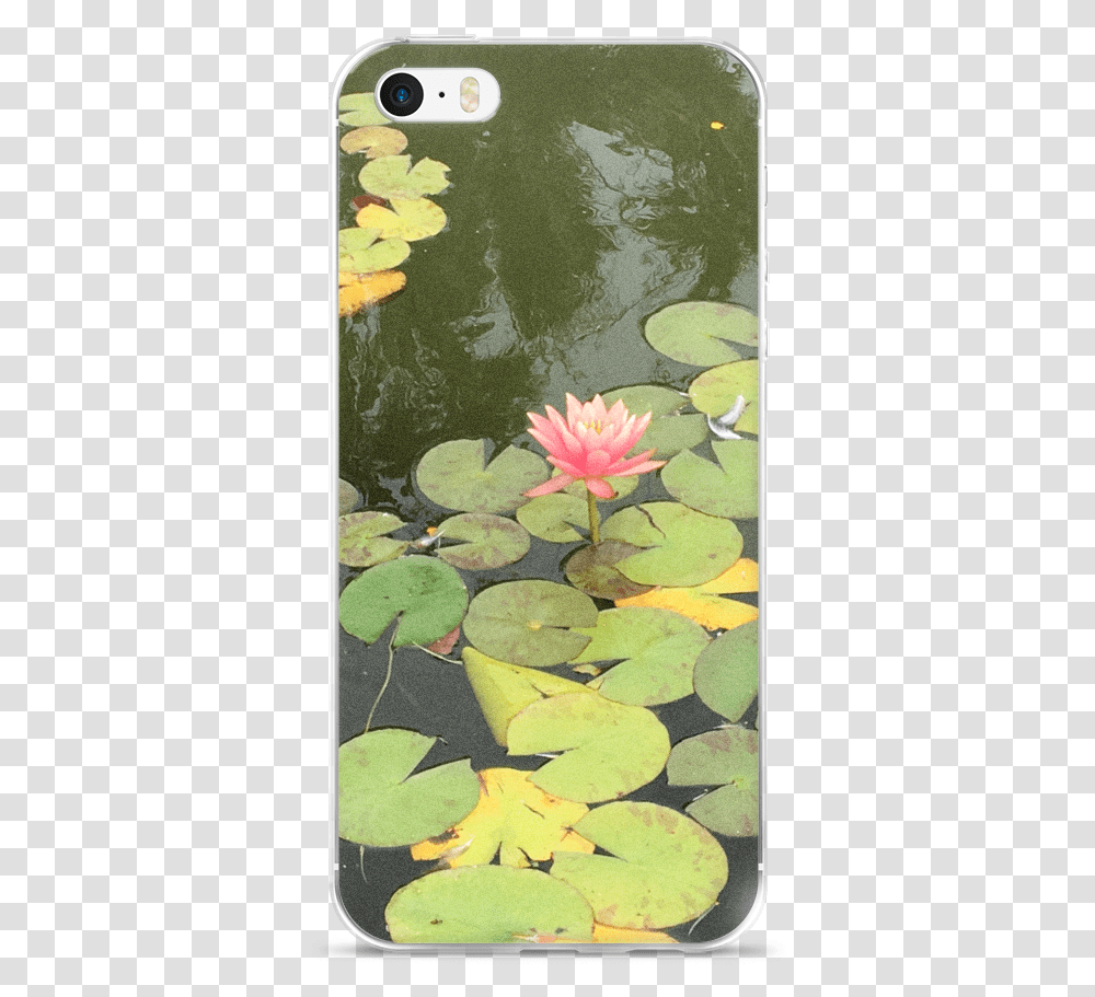 Iphone 7 Lily Pad Sacred Lotus, Plant, Flower, Blossom, Pond Lily Transparent Png