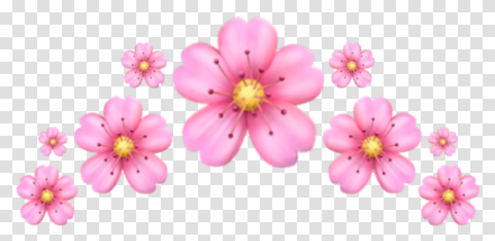 Iphone Emoji Emoticons Pink Flower Emoji, Plant, Blossom, Petal, Anther Transparent Png