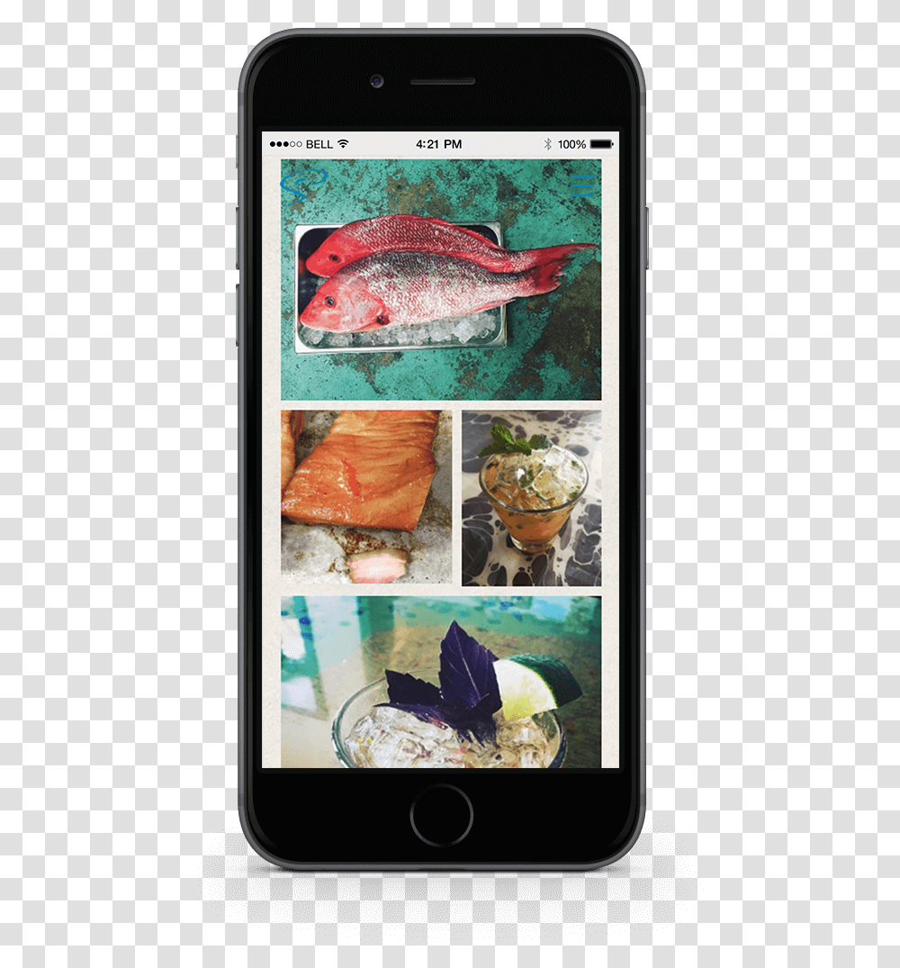 Iphone, Fish, Animal, Collage, Poster Transparent Png