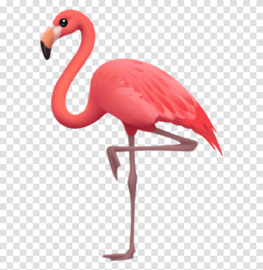 Iphone Flamingo Emoji, Bird, Animal, Beak Transparent Png