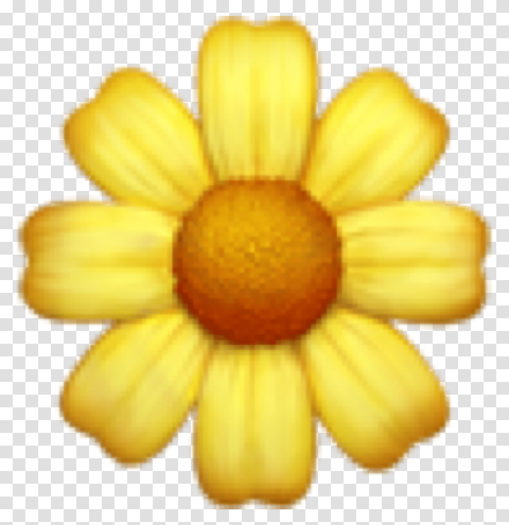 Iphone Flower Emoji, Plant, Blossom, Daisy, Petal Transparent Png