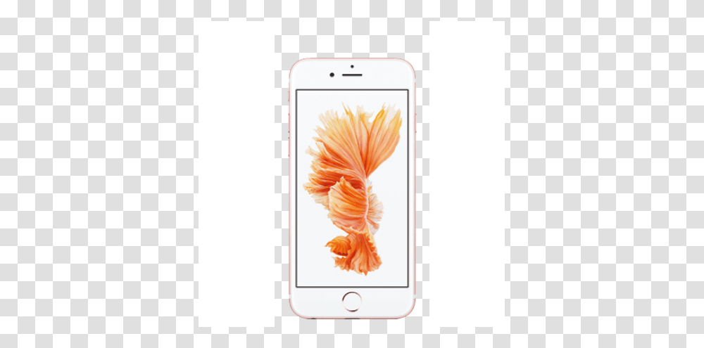 Iphone Rose Gold Sure, Mobile Phone, Electronics, Cell Phone Transparent Png