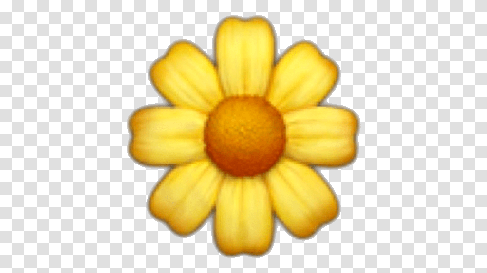 Iphone Yellow Flower Emoji, Plant, Petal, Food, Daisy Transparent Png