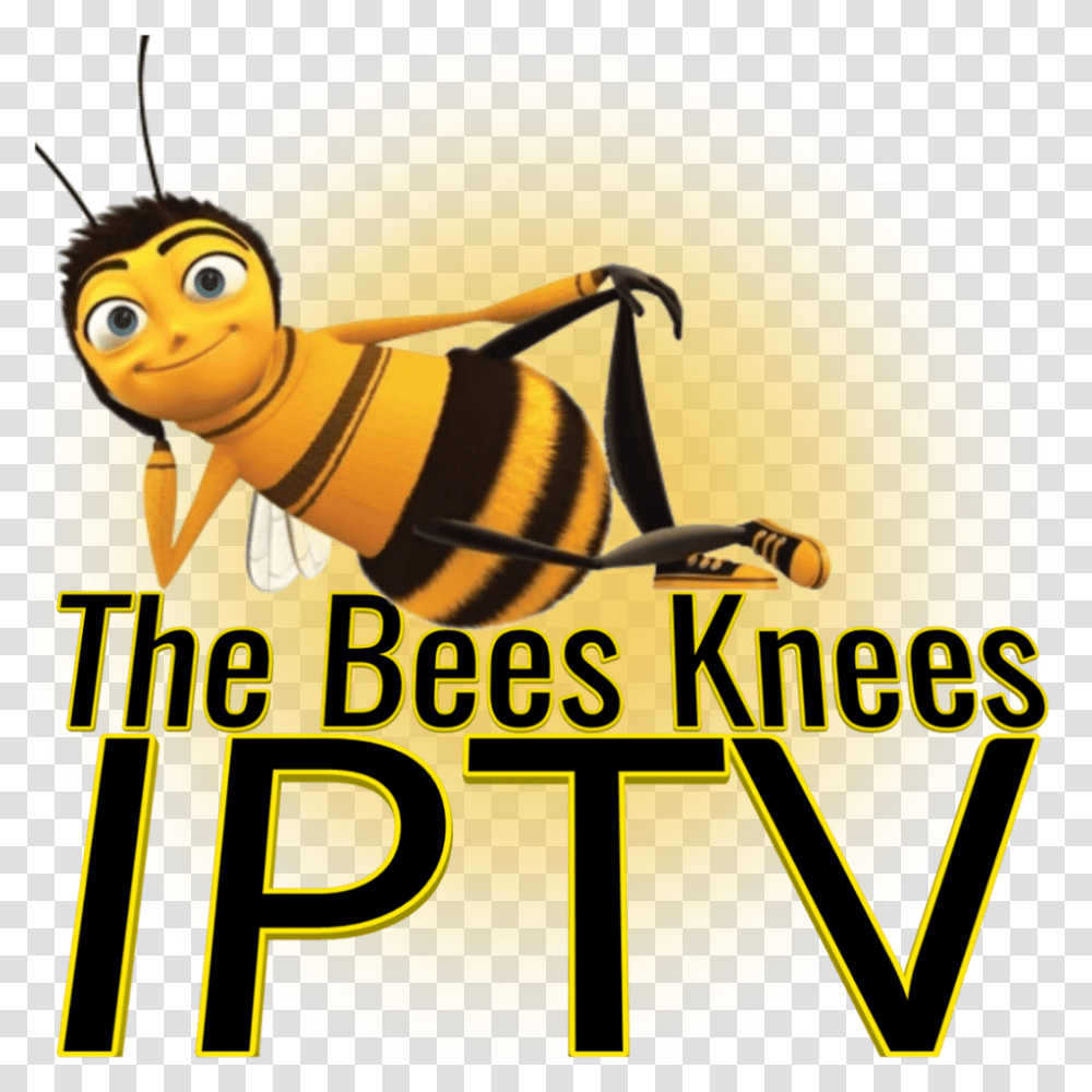 Iptv Streams Fhd Hd M3u Deals Kodi The Best Bees Knees Iptv, Animal, Invertebrate, Insect, Honey Bee Transparent Png
