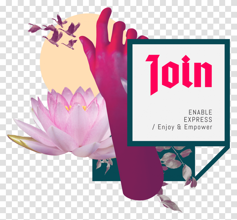 Iranian Diaspora Independent Grassroots Network Star Wars Logo Generator, Plant, Flower, Advertisement, Paper Transparent Png