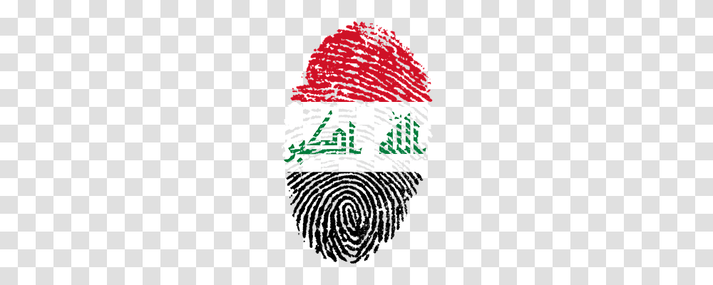 Iraq Person, Tree, Plant Transparent Png