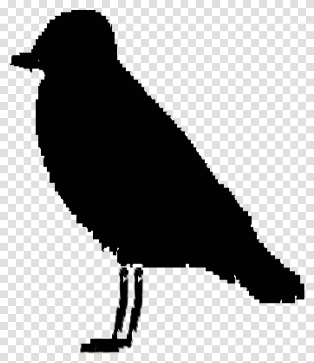 Ireland Bird Silhouette Clip Arts, Animal, Blackbird, Nature, Swallow Transparent Png