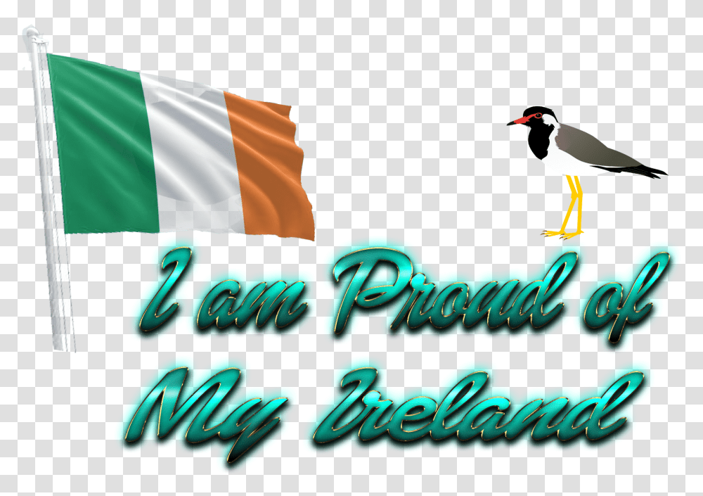 Ireland Flag Seabird, Animal, Symbol, Text Transparent Png
