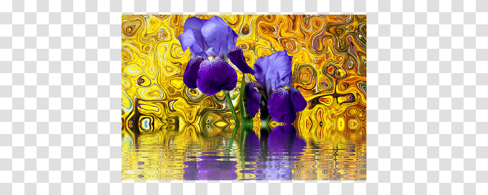 Iris Nature, Modern Art, Flower, Plant Transparent Png