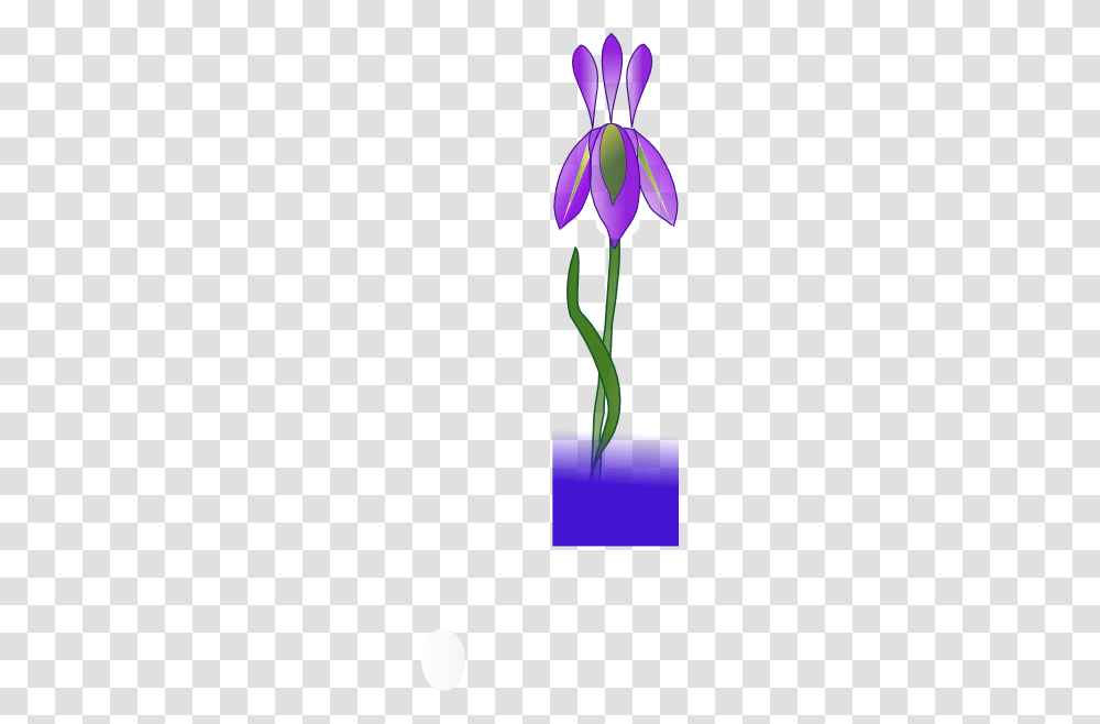 Iris Clip Art, Plant, Flower, Blossom, Vase Transparent Png