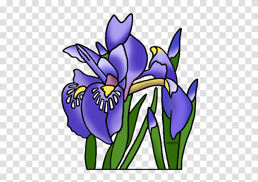 Iris Clipart Clip Art, Flower, Plant, Blossom, Orchid Transparent Png