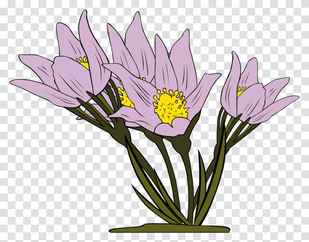Iris Familyplantflower Clipart Royalty Free Svg Animated Flowers, Blossom, Petal, Flower Arrangement, Pollen Transparent Png