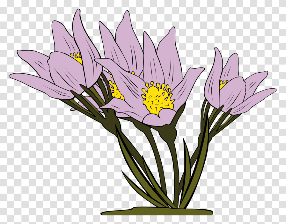 Iris Familyplantflower Flowers Clipart, Blossom, Petal, Pollen, Flower Arrangement Transparent Png