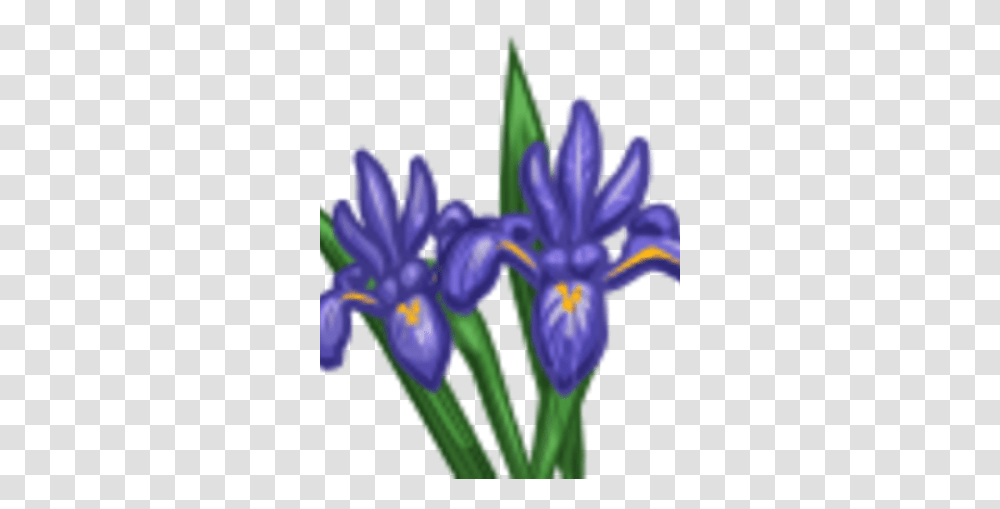 Iris Farmville Wiki Fandom Northern Blue Flag, Flower, Plant, Blossom, Purple Transparent Png