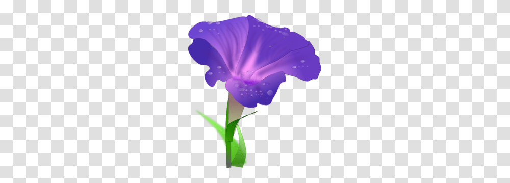 Iris Flower Clip Art Free, Geranium, Plant, Blossom, Anther Transparent Png