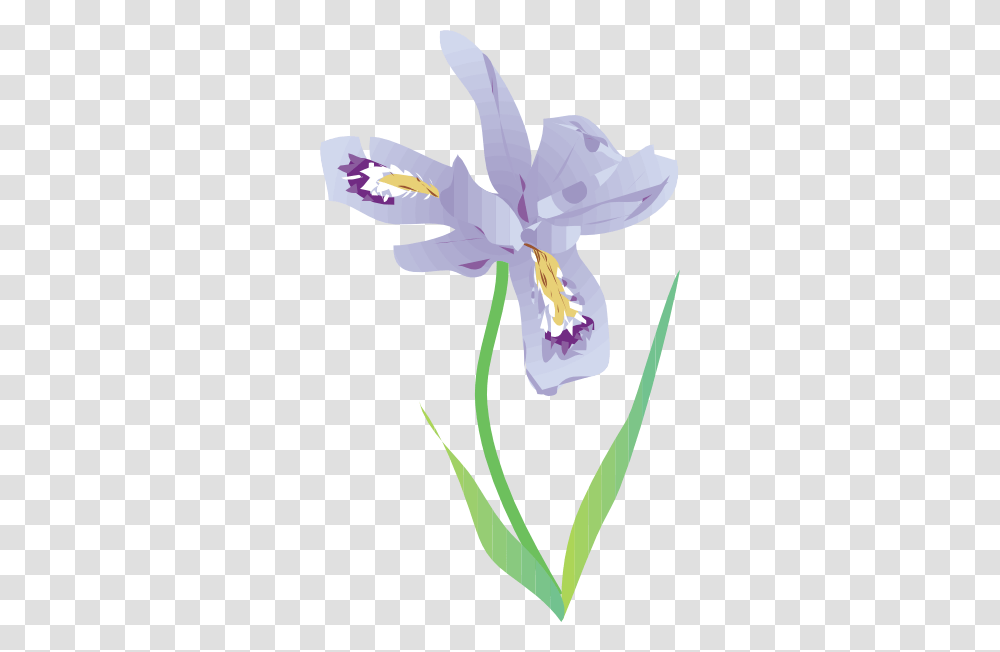 Iris Flower Clip Art Free, Plant, Blossom, Orchid, Petal Transparent Png