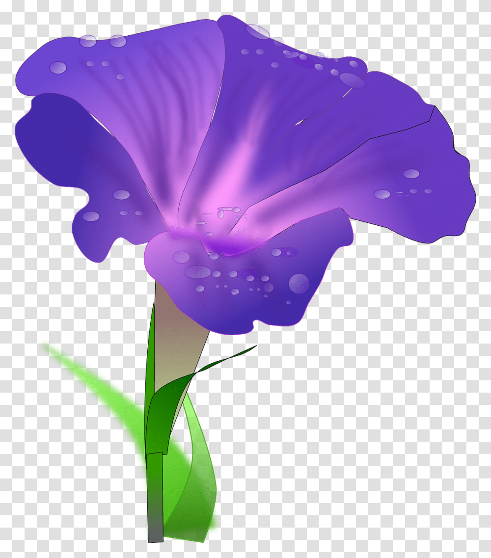 Iris Flower Clip Art Morning Glory Flower Clipart, Plant, Geranium, Blossom, Crocus Transparent Png