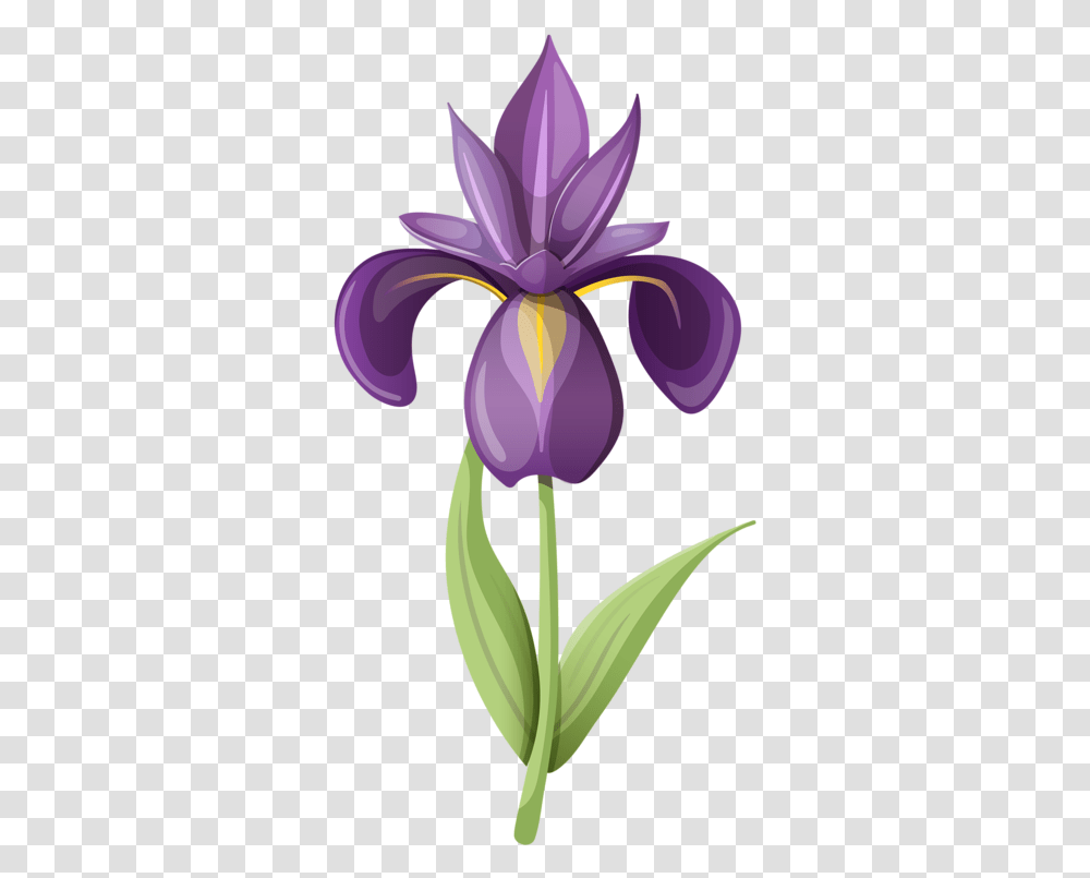 Iris Flower Clip Art, Plant, Blossom, Purple Transparent Png