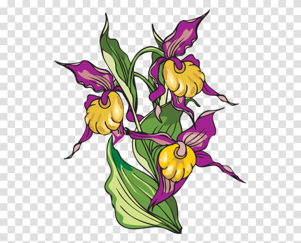 Iris Flower Clipart Yellow Lady's Slipper, Floral Design, Pattern, Plant Transparent Png
