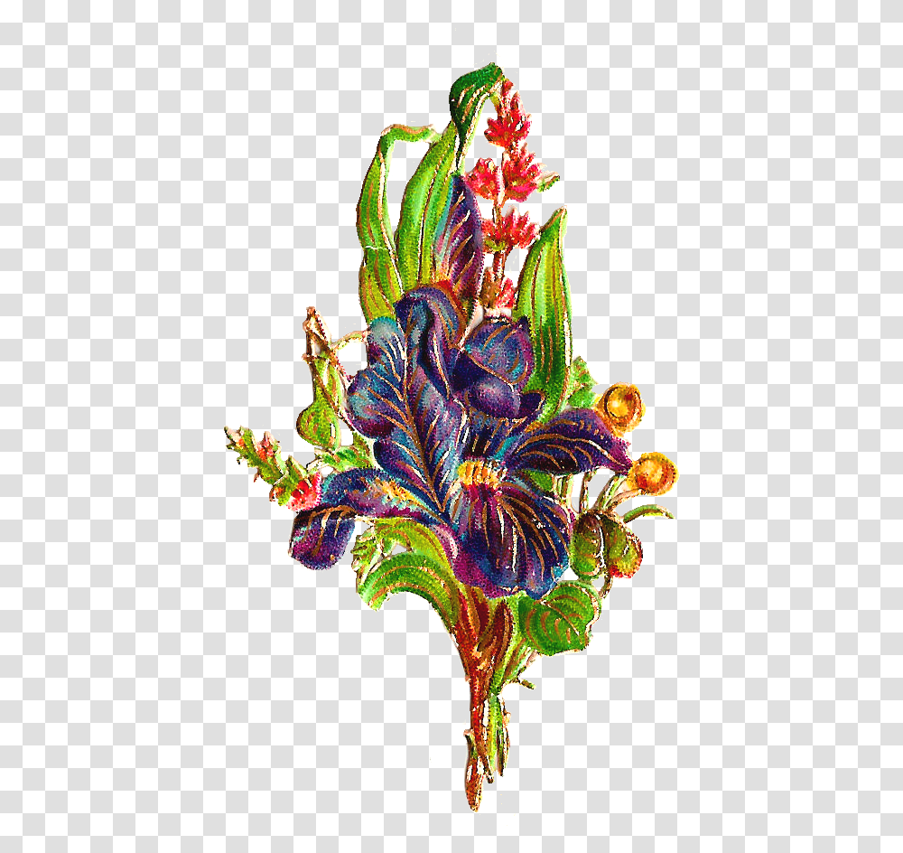 Iris, Flower, Plant, Blossom Transparent Png