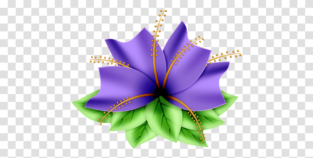 Iris, Flower, Plant, Purple Transparent Png