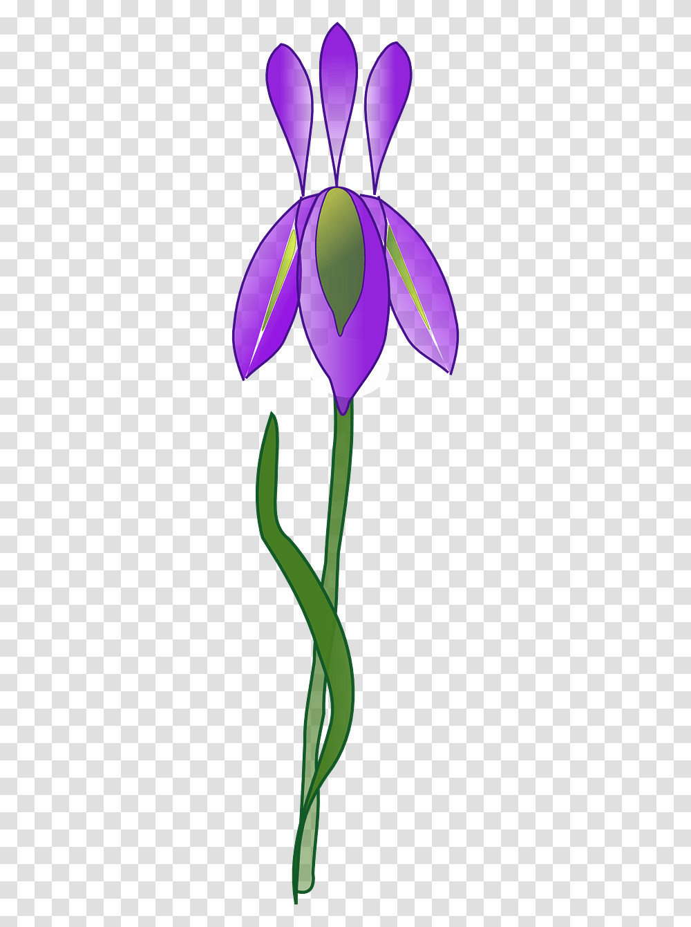Iris Flower Vector, Plant, Purple, Tulip, Light Transparent Png