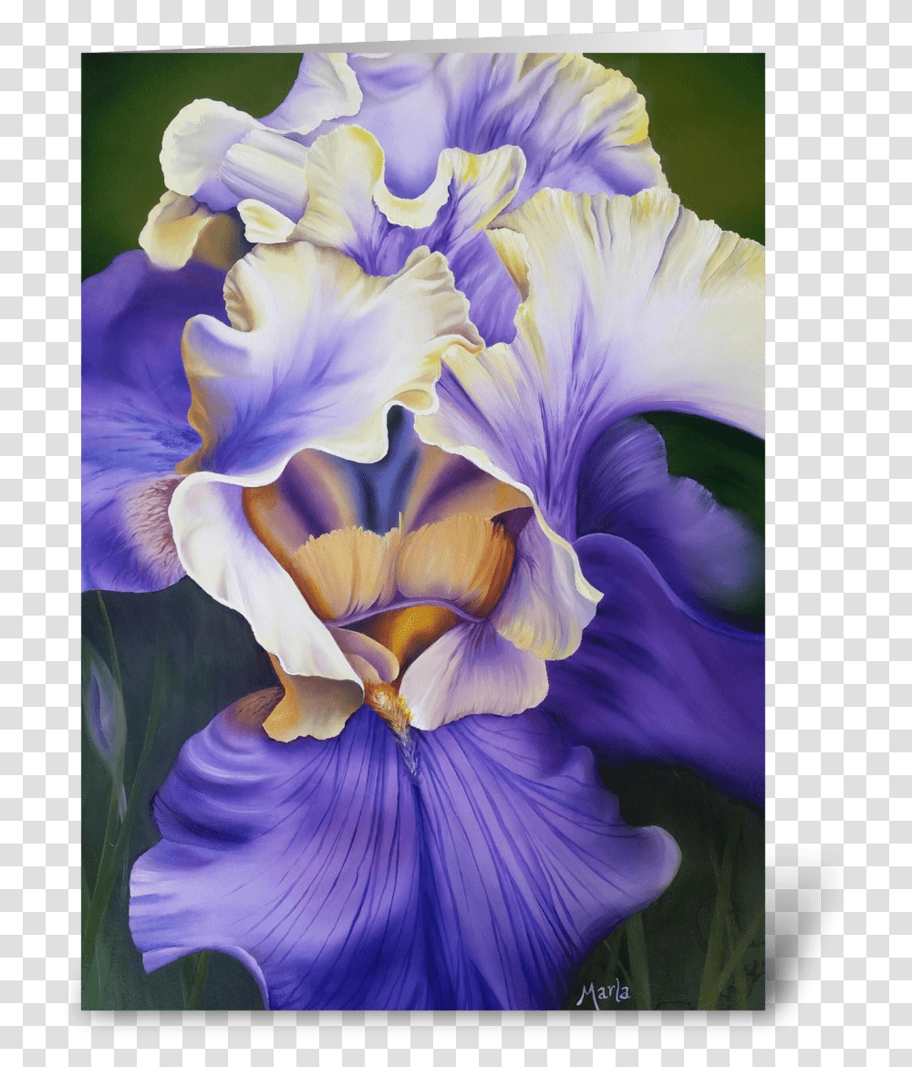 Iris Greeting Card Iris, Flower, Plant, Blossom, Geranium Transparent Png