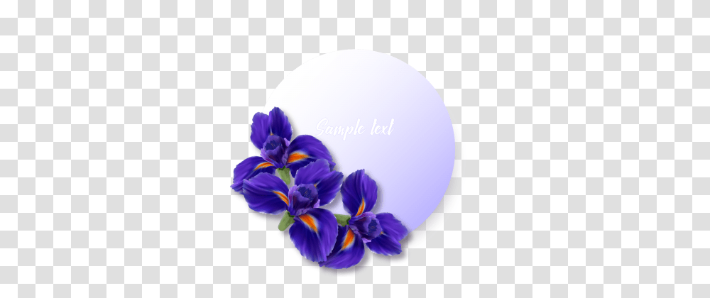 Iris Images Vectors And Free Download, Plant, Flower, Blossom, Pansy Transparent Png
