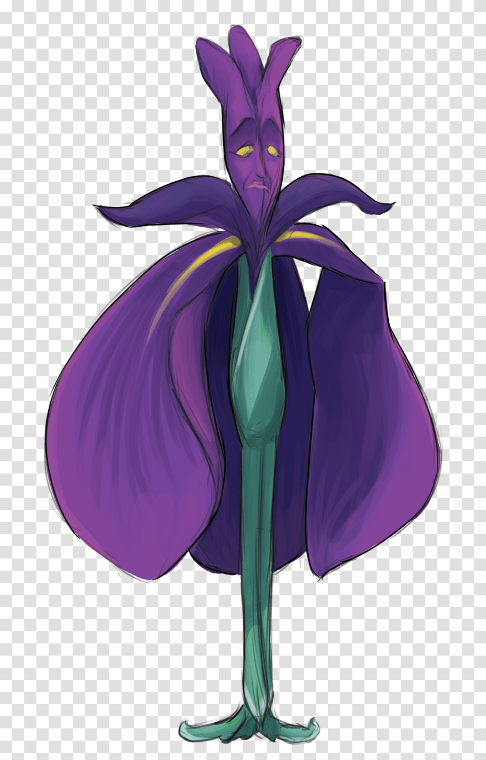 Iris Iris Versicolor, Flower, Plant, Blossom, Purple Transparent Png