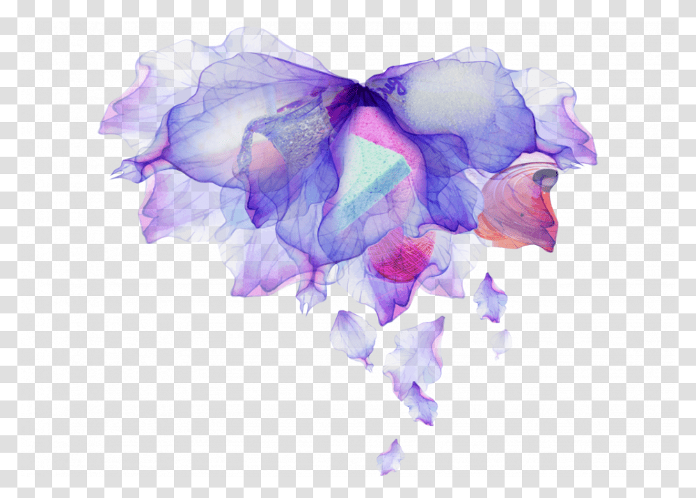 Iris, Pattern, Ornament, Rose, Flower Transparent Png