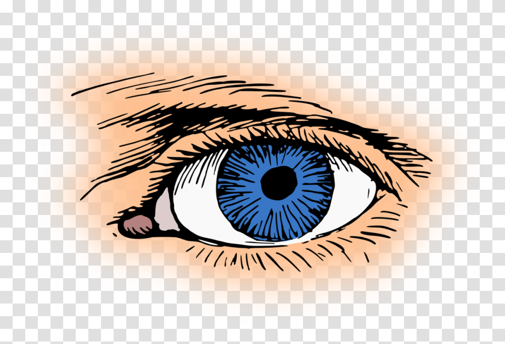 Irisclose Upeye Clip Art Eyes Blue, Contact Lens, Fish, Animal, Clam Transparent Png