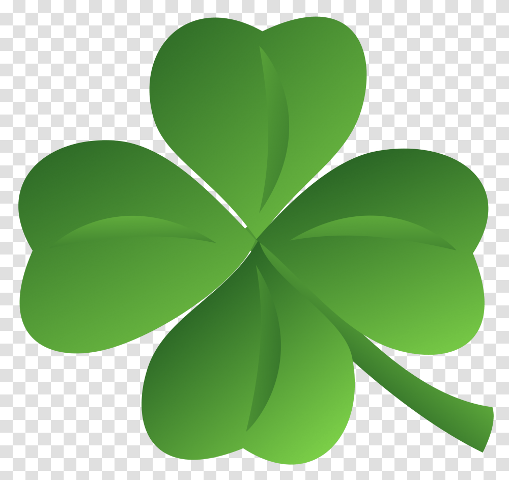 Irish Images, Green, Leaf, Plant Transparent Png