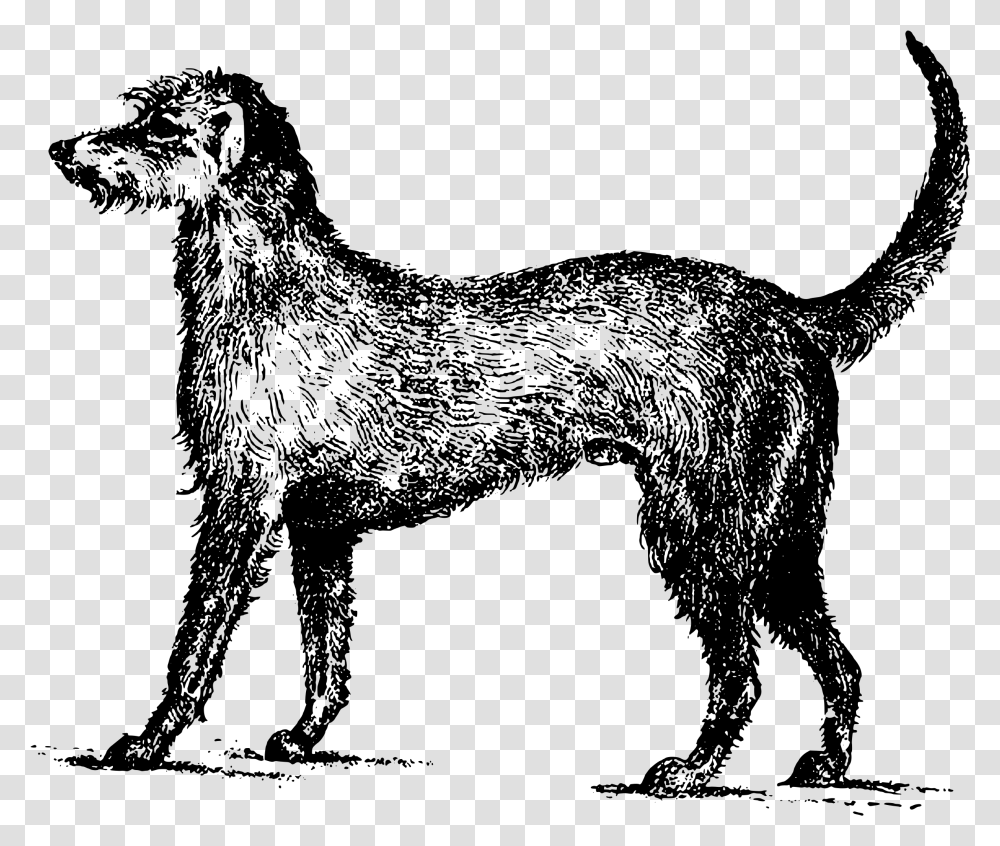 Irish Wolfhound Clip Arts Irish Wolfhound Clipart, Gray, World Of Warcraft Transparent Png
