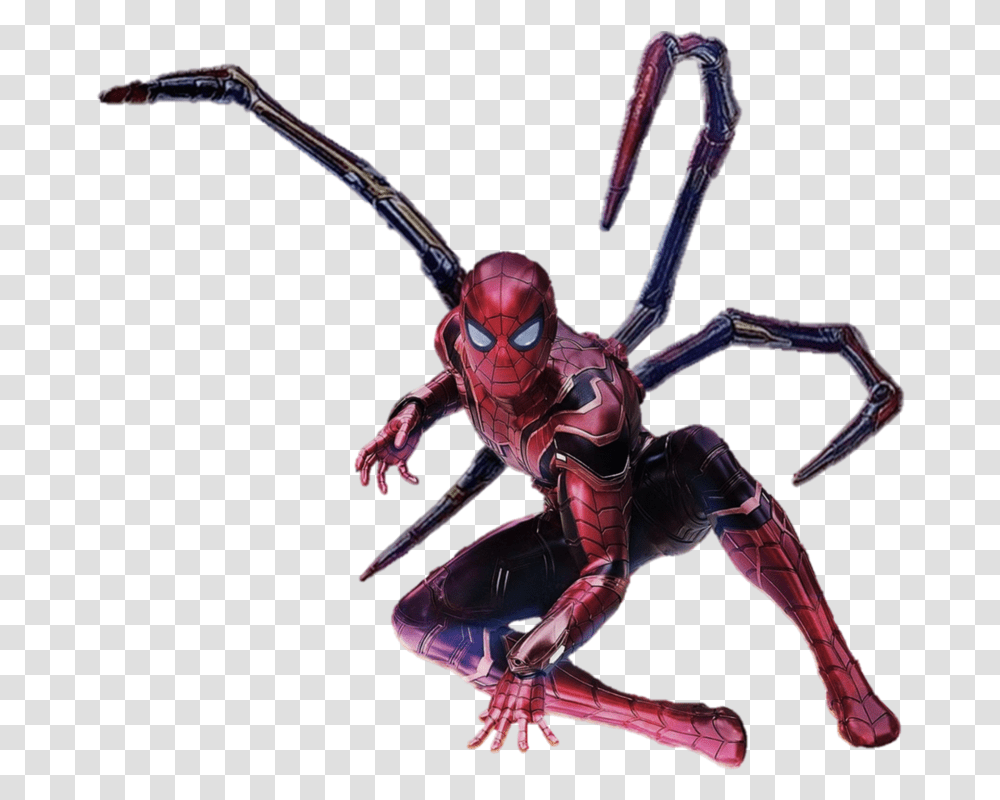 Iron Spider Man, Animal, Invertebrate, Insect, Person Transparent Png