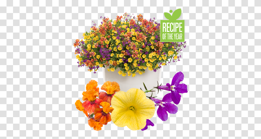 Irresistible Recipe Lovely, Plant, Flower, Flower Arrangement, Graphics Transparent Png