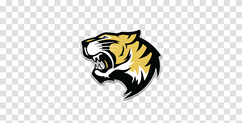 Irving Tigers, Mammal, Animal, Wildlife, Hand Transparent Png