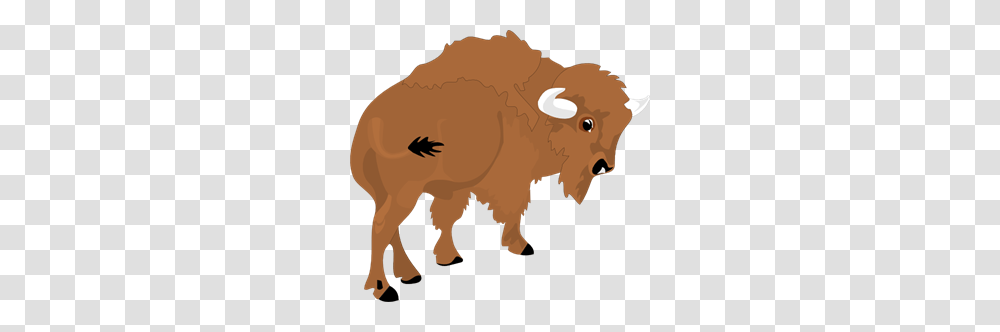 Is Images Icon Cliparts, Mammal, Animal, Bison, Wildlife Transparent Png